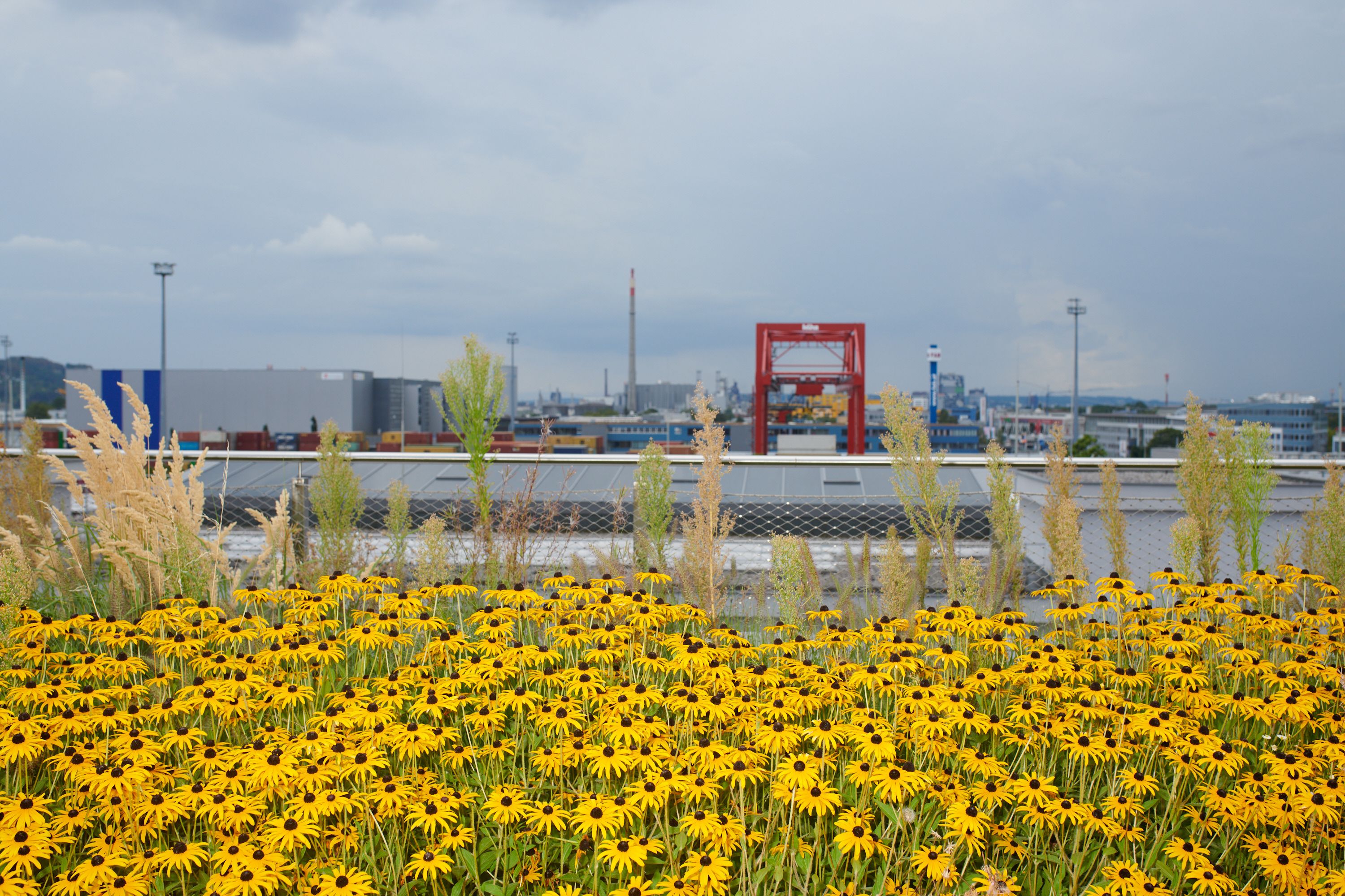 _DSC8722_klein.jpg