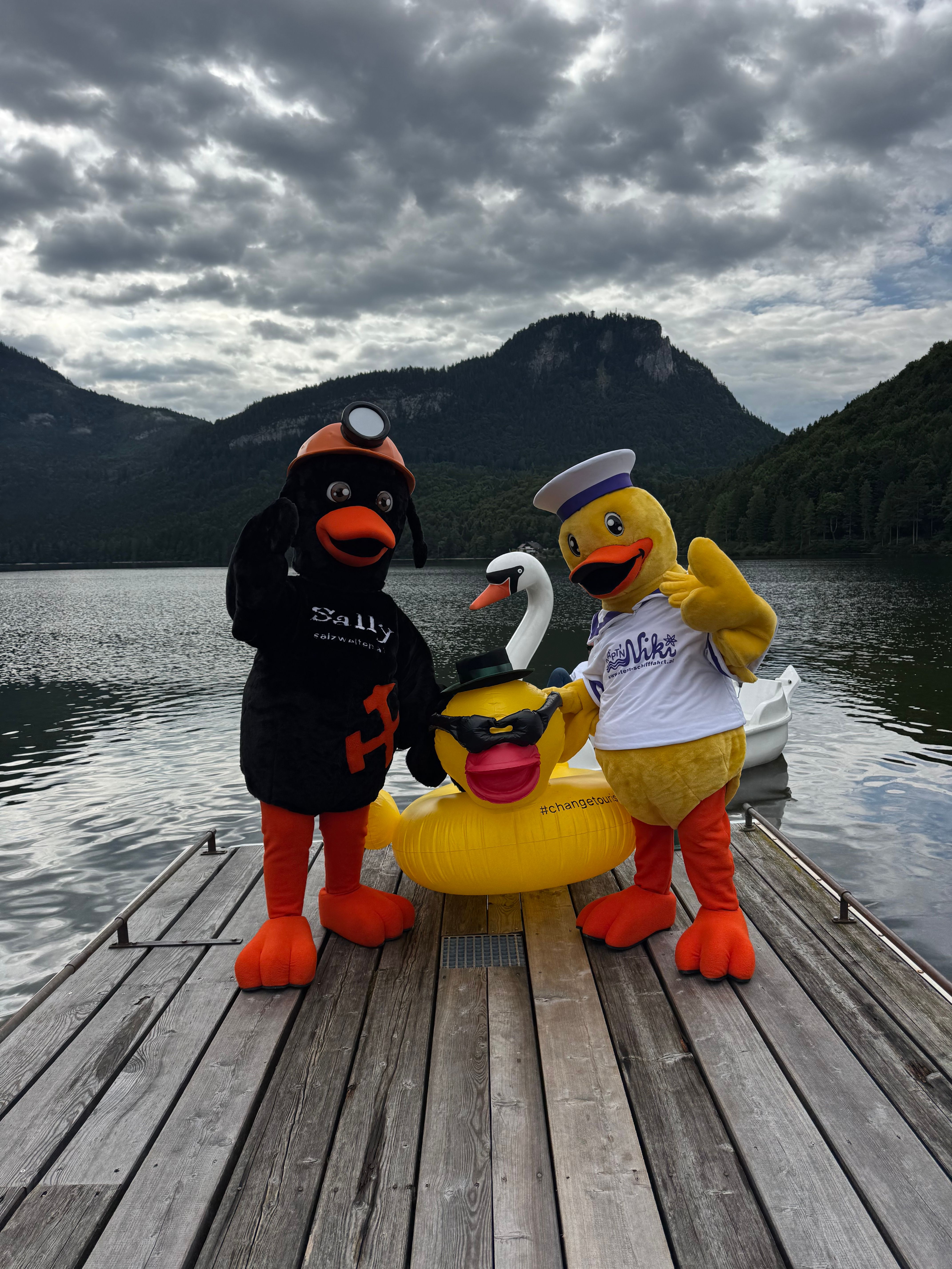 Ententreffen am Altausseer See